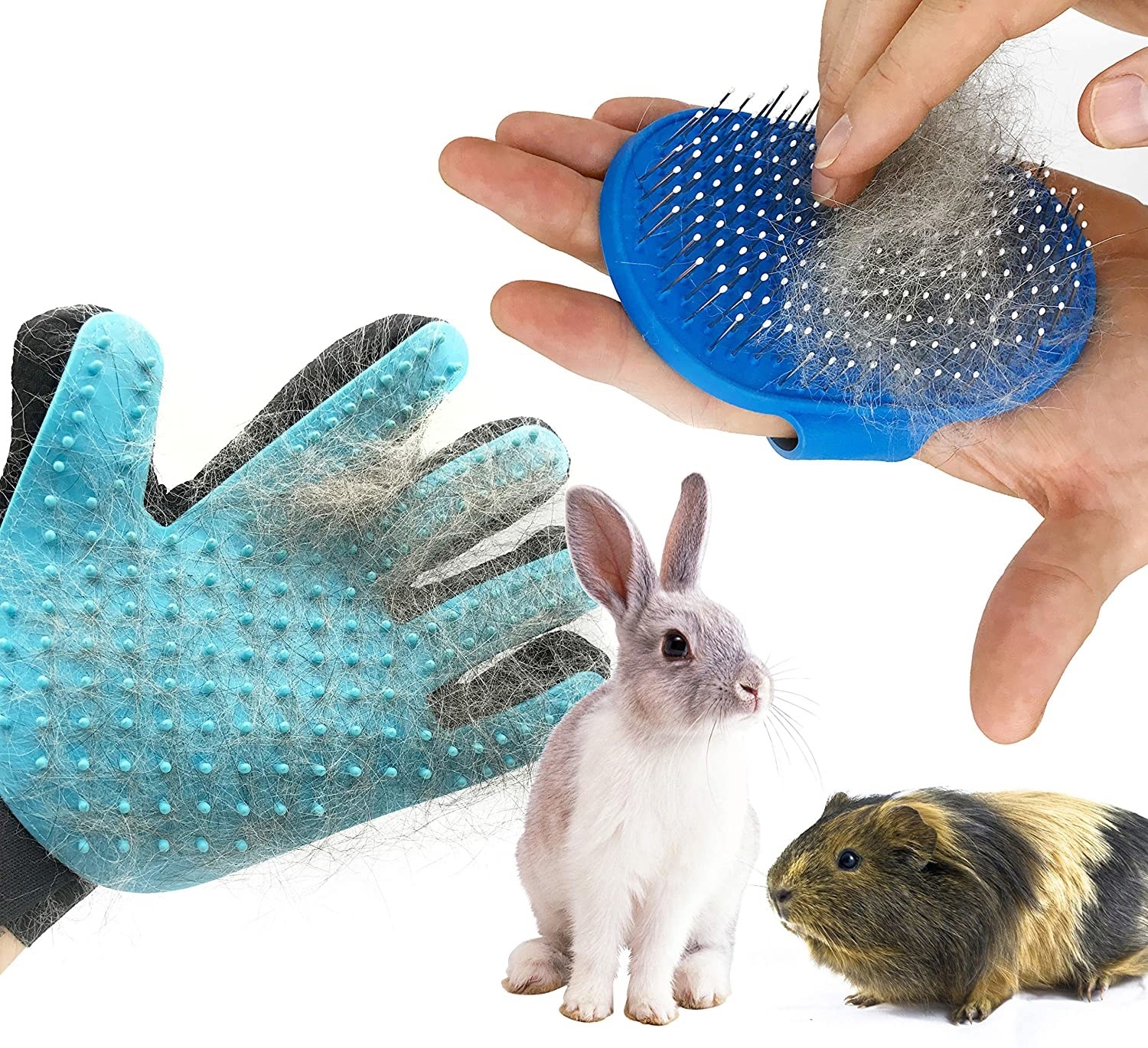 rabbit grooming service dubai